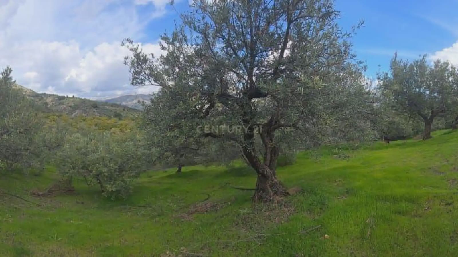 Building Plot for sale in Los Guajares - € 99,000 (Ref: 9743139)