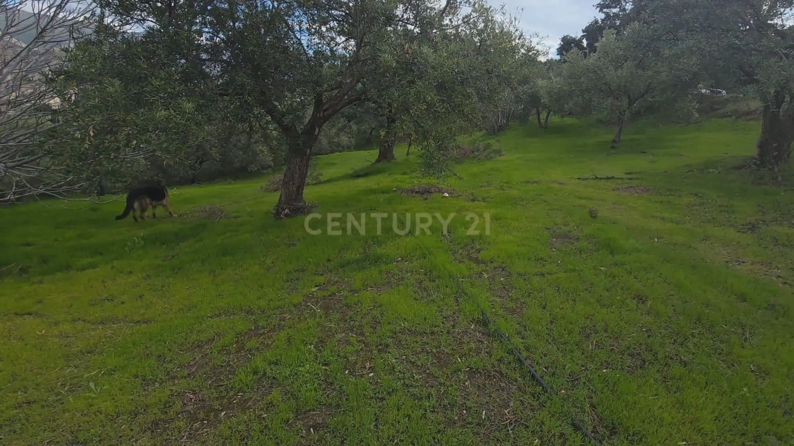 Building Plot for sale in Los Guajares - € 99,000 (Ref: 9743139)