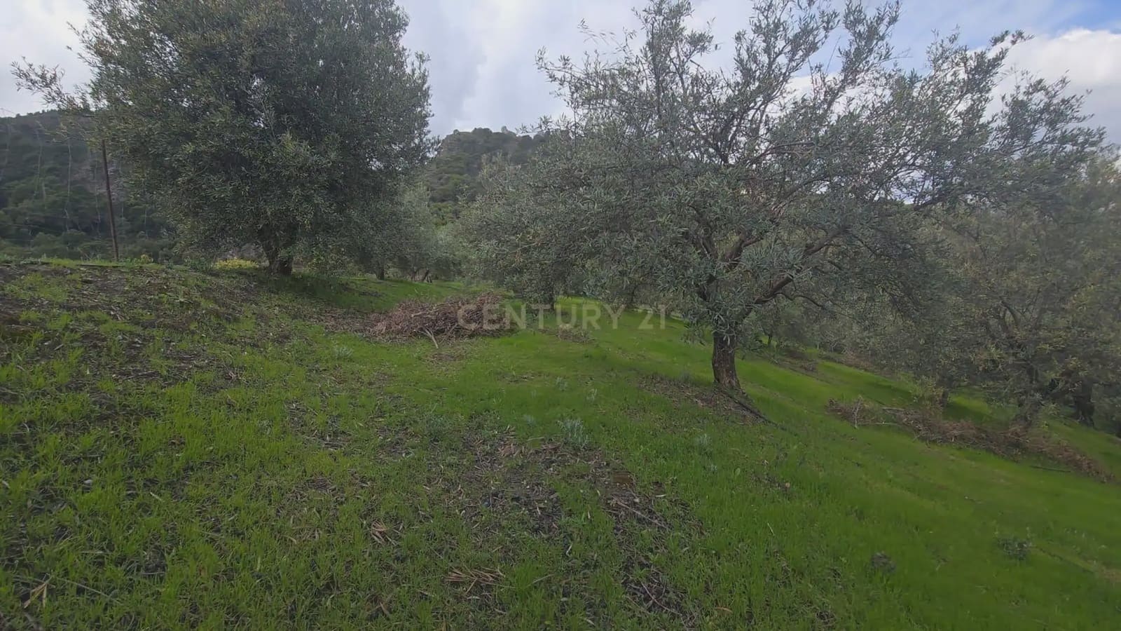 Building Plot for sale in Los Guajares - € 99,000 (Ref: 9743139)