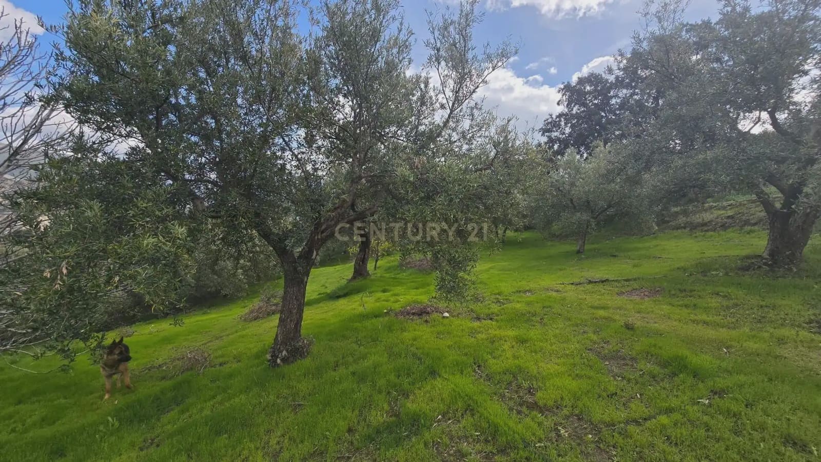 Building Plot for sale in Los Guajares - € 99,000 (Ref: 9743139)