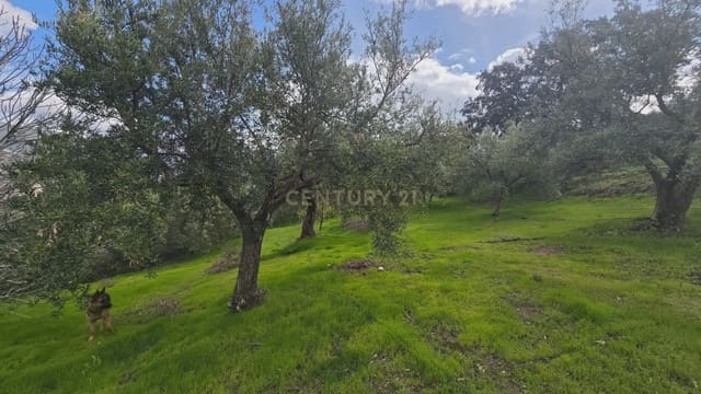 Solar/Parcela en Los Guajares en venta - 99.000 € (Ref: 9743139)