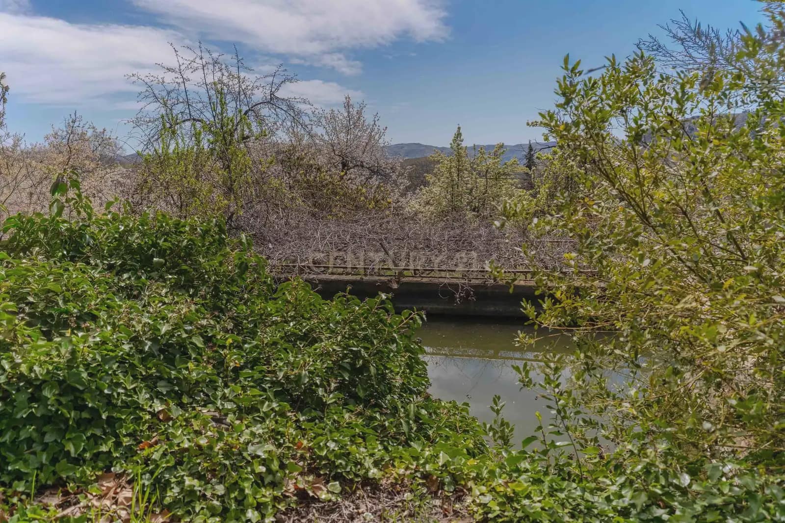 1 bedroom Finca/Country House for sale in Portugos - € 155,000 (Ref: 9769092)