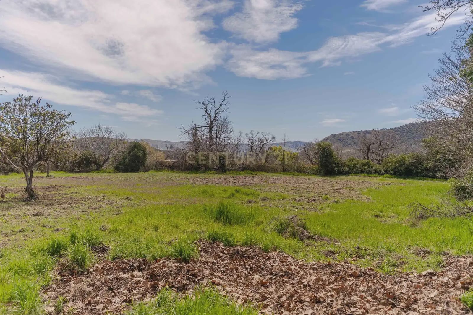 1 bedroom Finca/Country House for sale in Portugos - € 155,000 (Ref: 9769092)