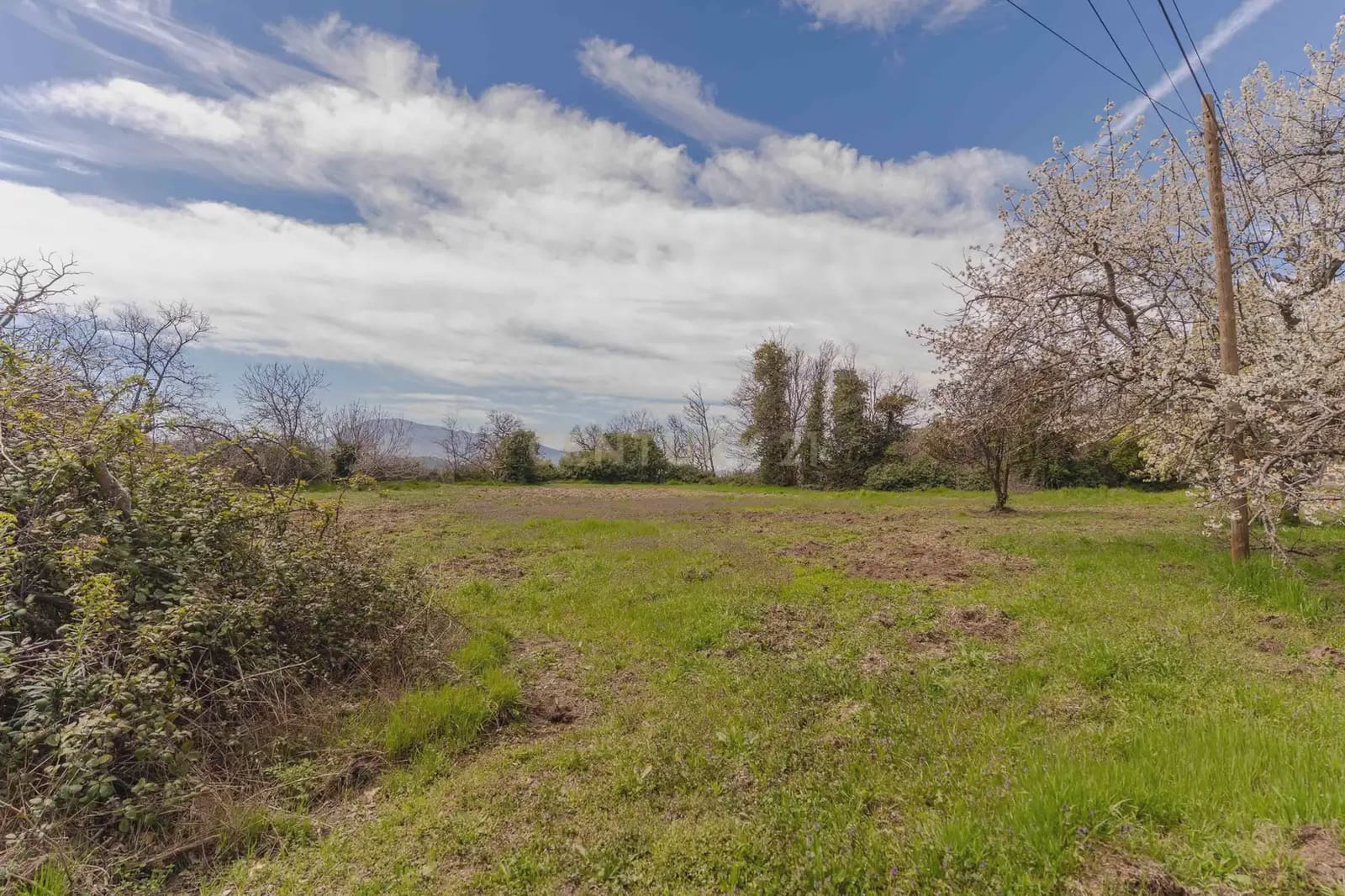 1 bedroom Finca/Country House for sale in Portugos - € 155,000 (Ref: 9769092)