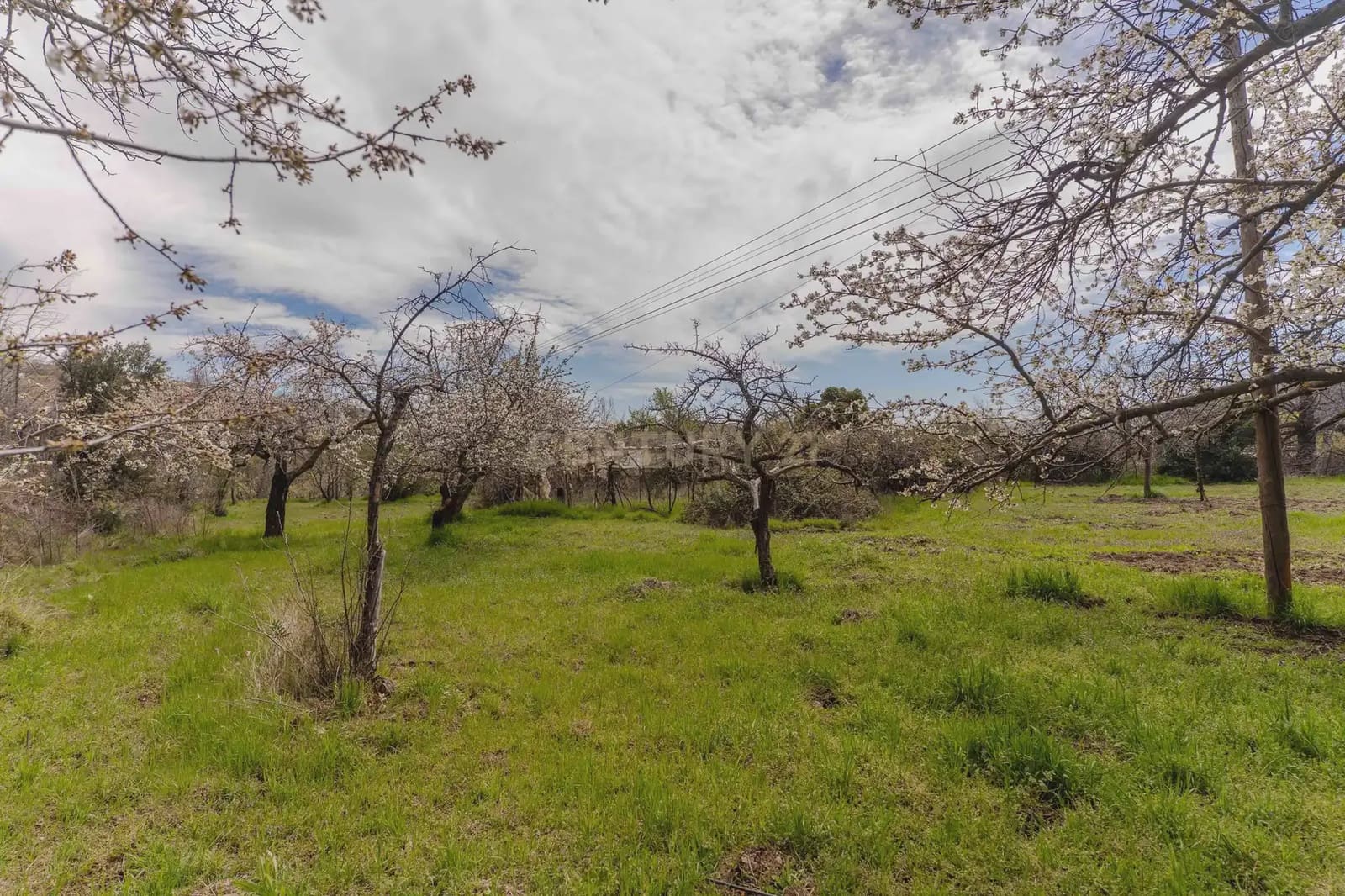 1 bedroom Finca/Country House for sale in Portugos - € 155,000 (Ref: 9769092)