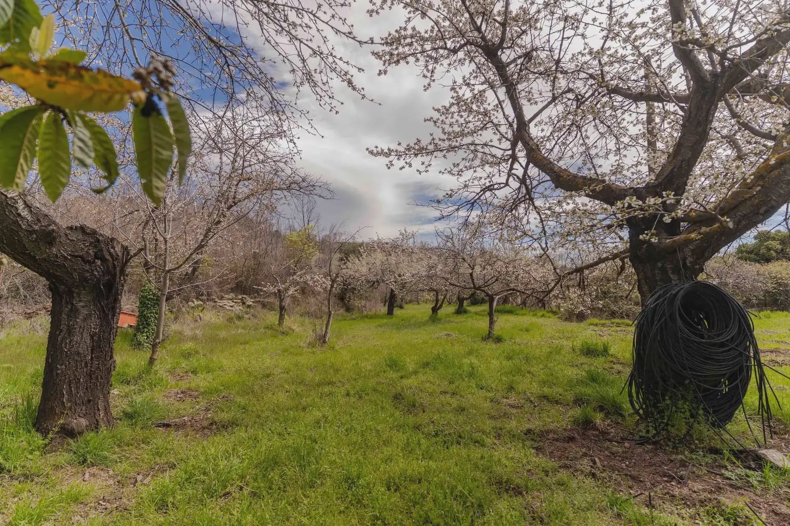 1 bedroom Finca/Country House for sale in Portugos - € 155,000 (Ref: 9769092)