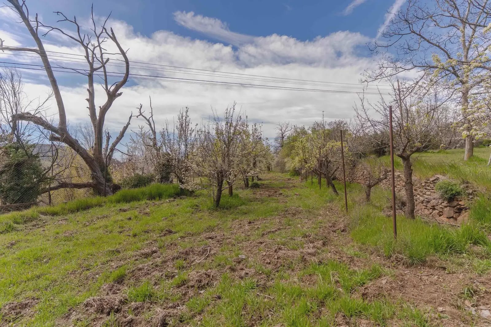 1 bedroom Finca/Country House for sale in Portugos - € 155,000 (Ref: 9769092)