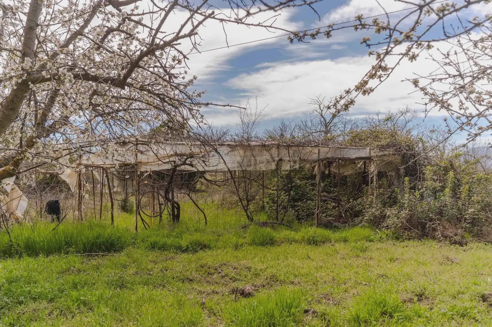 1 bedroom Finca/Country House for sale in Portugos - € 155,000 (Ref: 9769092)