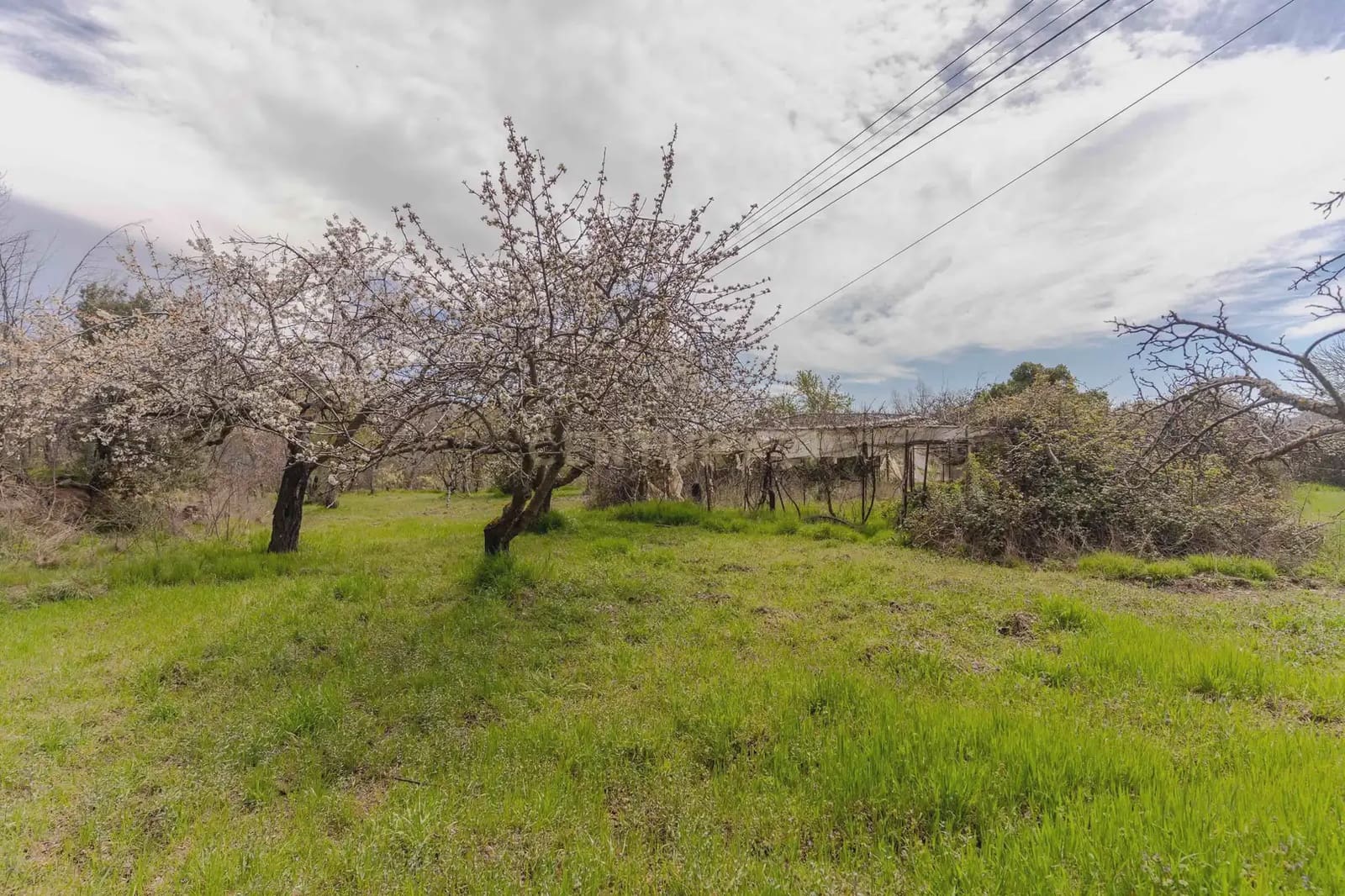 1 bedroom Finca/Country House for sale in Portugos - € 155,000 (Ref: 9769092)