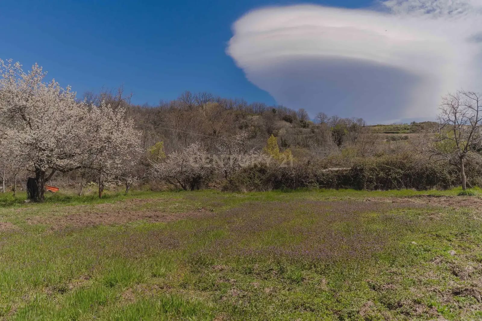 1 bedroom Finca/Country House for sale in Portugos - € 155,000 (Ref: 9769092)