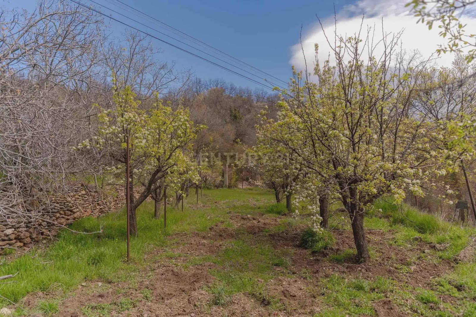 1 bedroom Finca/Country House for sale in Portugos - € 155,000 (Ref: 9769092)