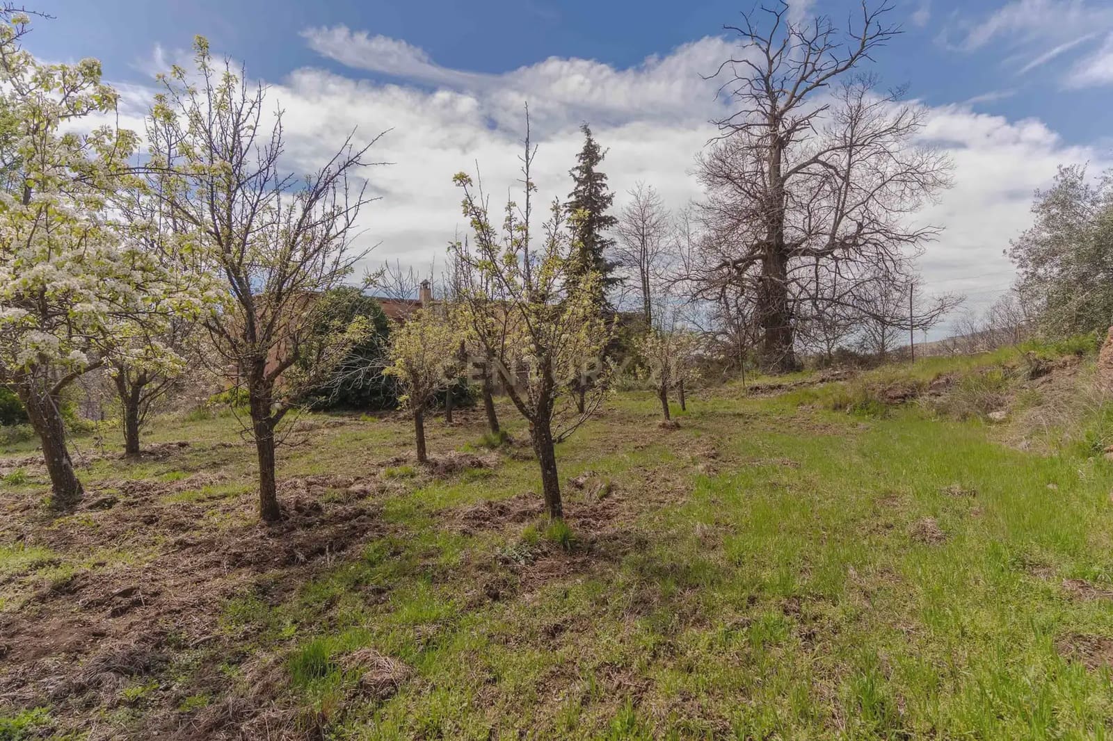 1 bedroom Finca/Country House for sale in Portugos - € 155,000 (Ref: 9769092)