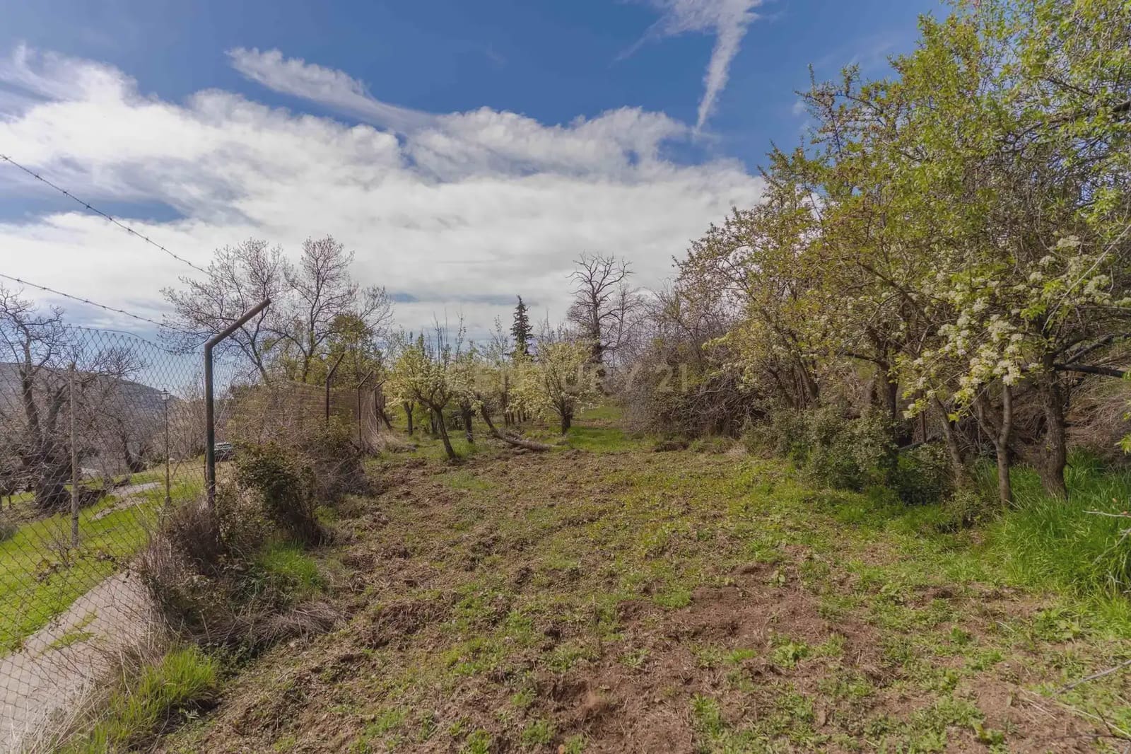 1 bedroom Finca/Country House for sale in Portugos - € 155,000 (Ref: 9769092)