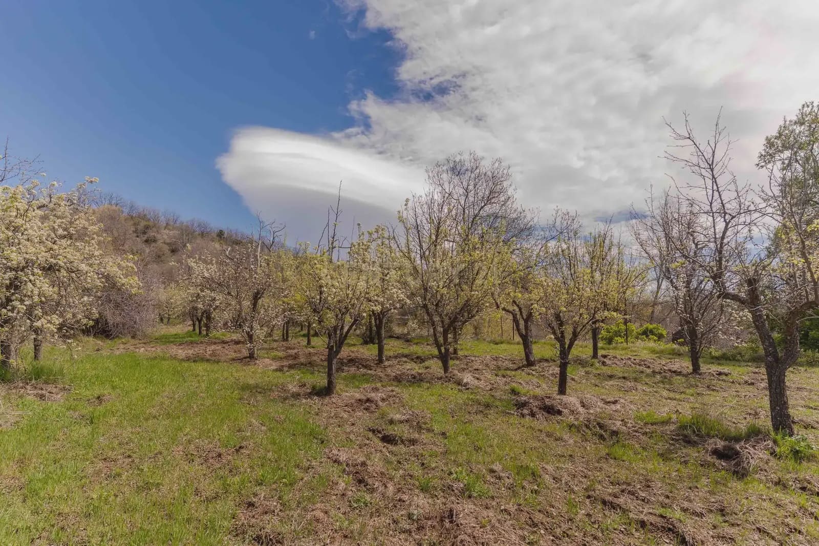 1 bedroom Finca/Country House for sale in Portugos - € 155,000 (Ref: 9769092)