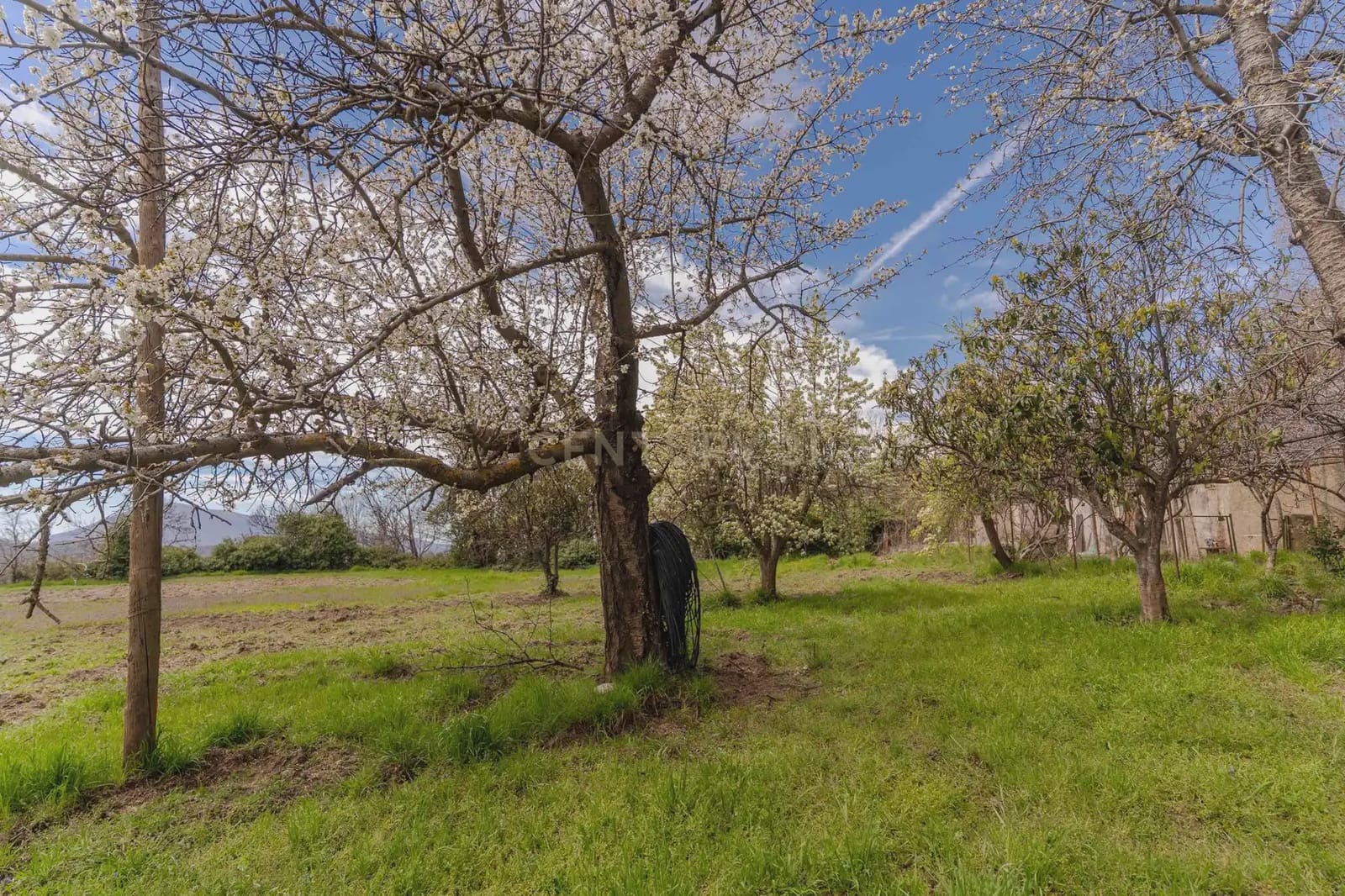 1 bedroom Finca/Country House for sale in Portugos - € 155,000 (Ref: 9769092)