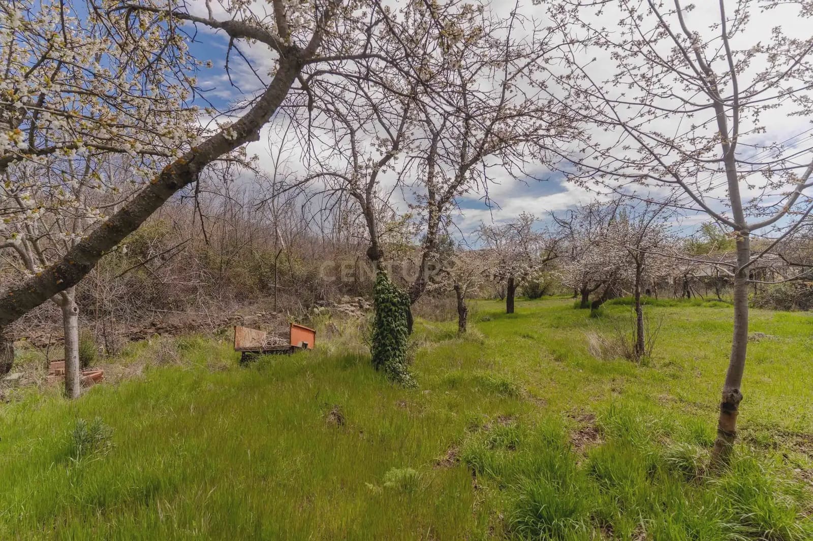 1 bedroom Finca/Country House for sale in Portugos - € 155,000 (Ref: 9769092)