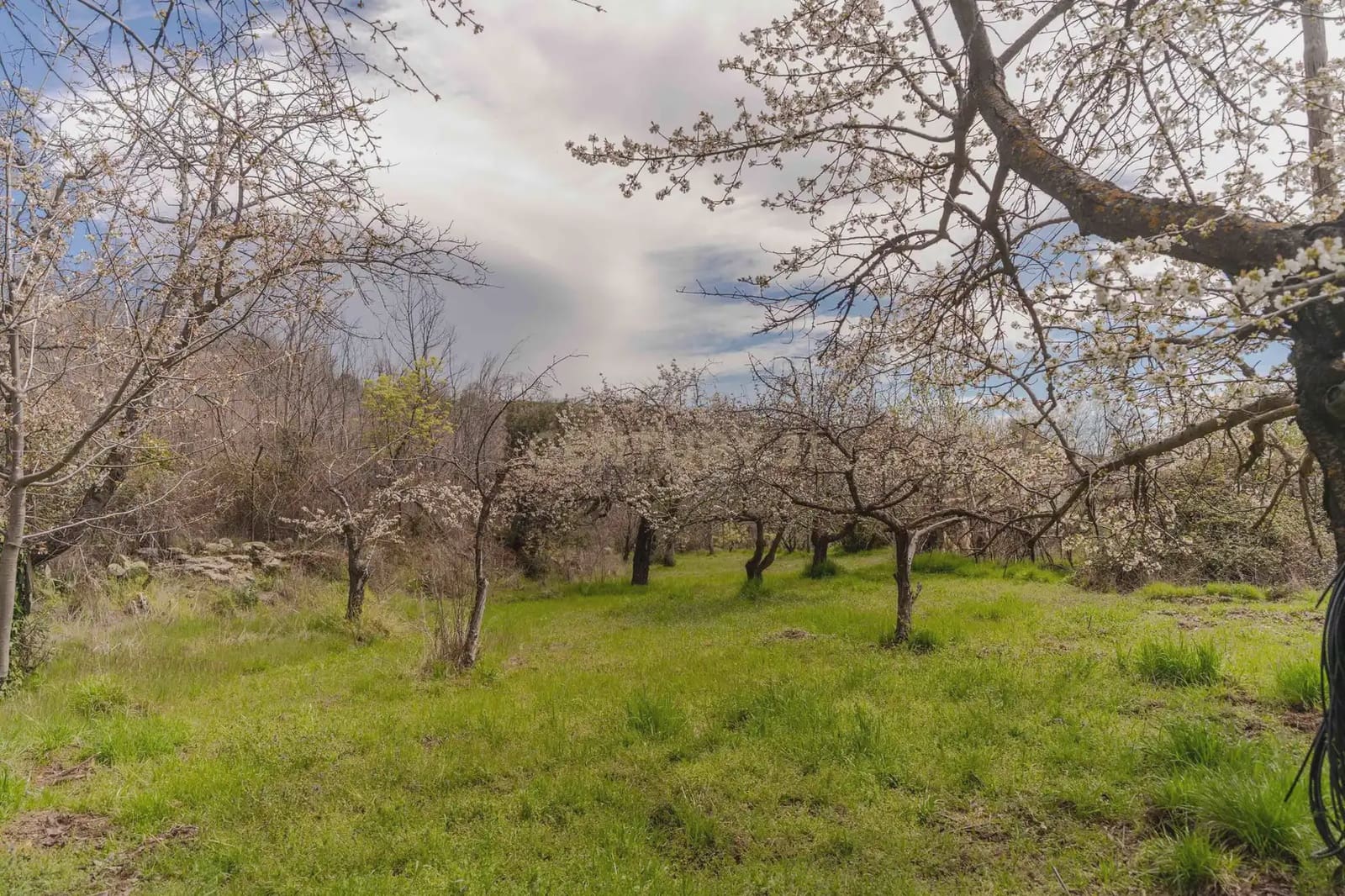 1 bedroom Finca/Country House for sale in Portugos - € 155,000 (Ref: 9769092)