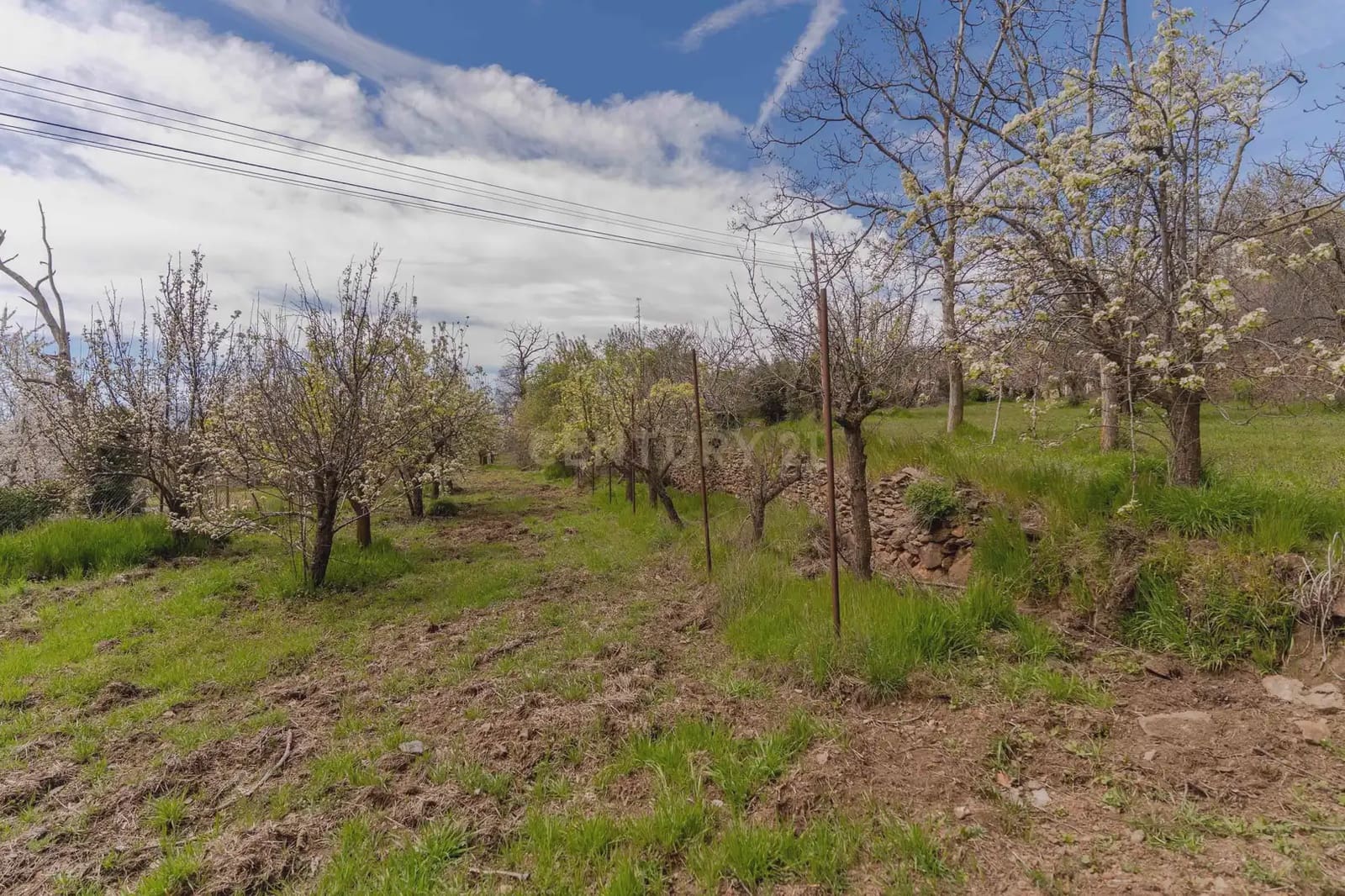 1 bedroom Finca/Country House for sale in Portugos - € 155,000 (Ref: 9769092)