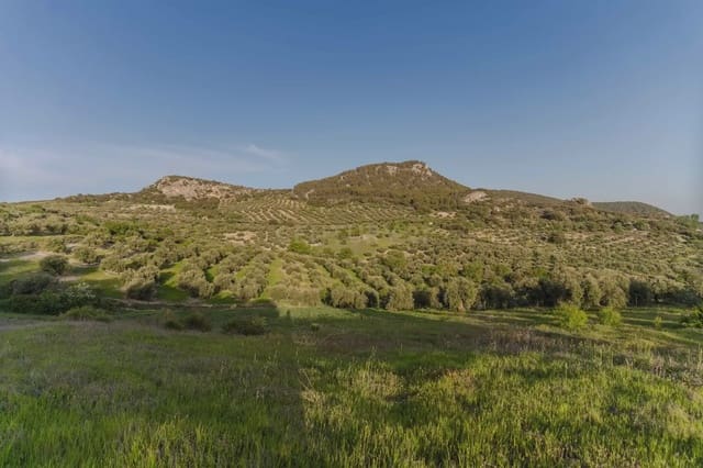 Finca/Casa Rural de 3 habitaciones en Illora en venta con piscina garaje - 220.000 € (Ref: 9802498)