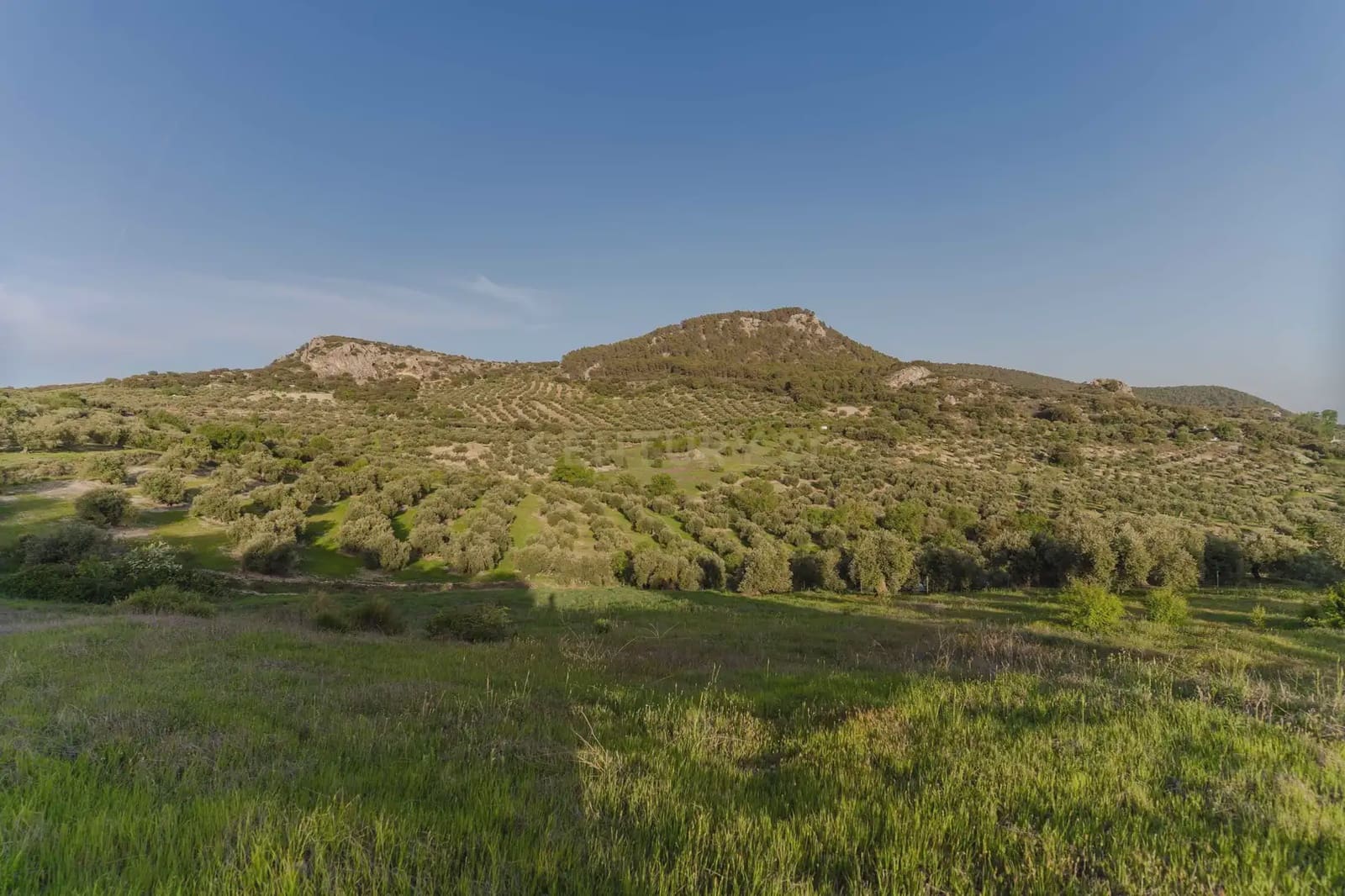 Finca/Casa Rural de 3 habitaciones en Illora en venta con piscina garaje - 220.000 € (Ref: 9802498)