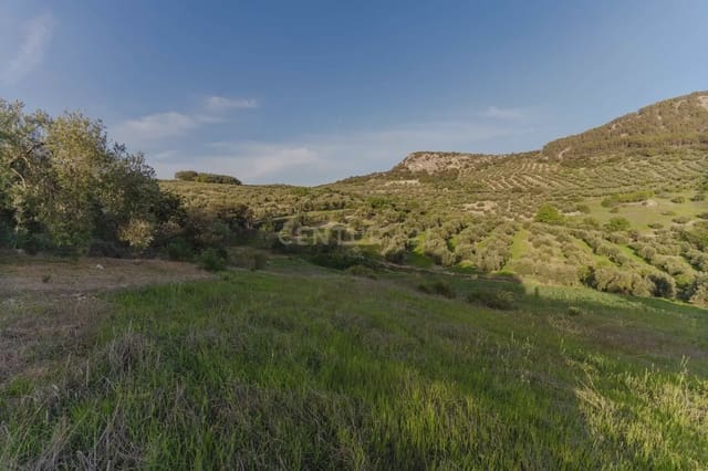 Finca/Casa Rural de 3 habitaciones en Illora en venta con piscina garaje - 220.000 € (Ref: 9802498)