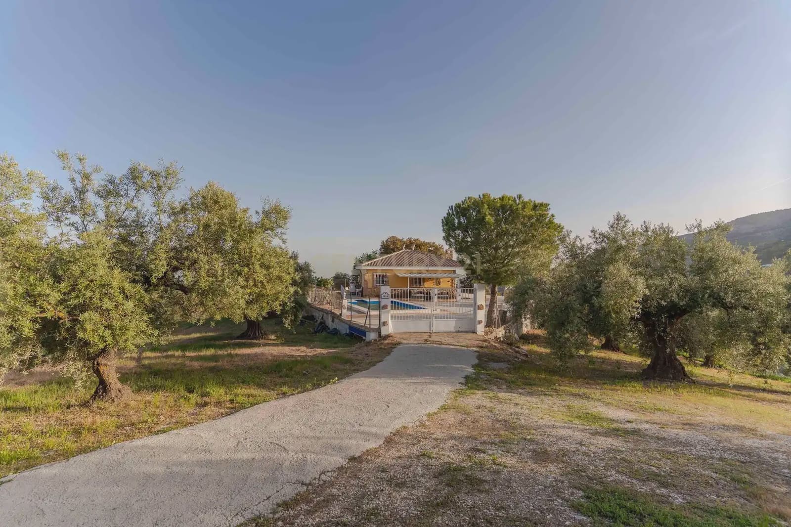 Finca/Casa Rural de 3 habitaciones en Illora en venta con piscina garaje - 220.000 € (Ref: 9802498)