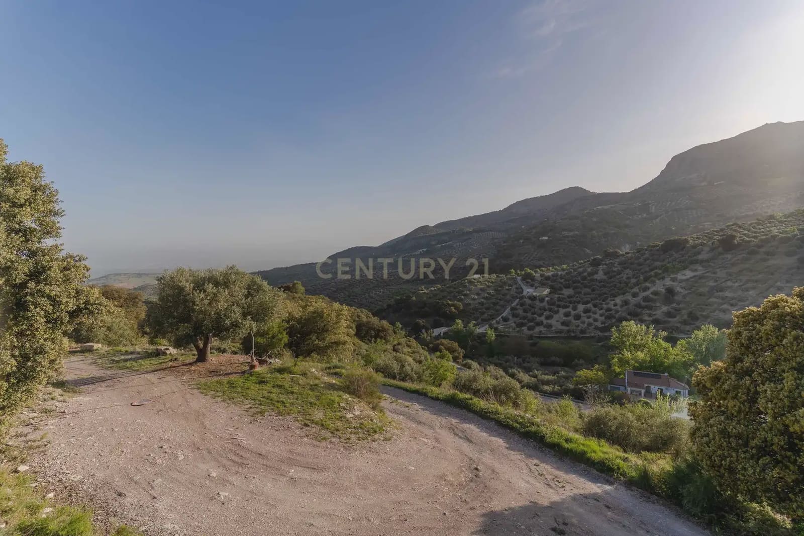 Finca/Casa Rural de 3 habitaciones en Illora en venta con piscina garaje - 220.000 € (Ref: 9802498)