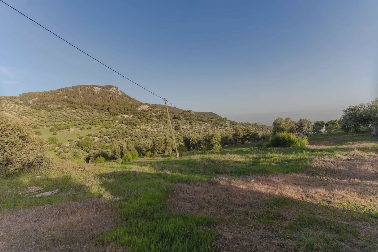 Finca/Casa Rural de 3 habitaciones en Illora en venta con piscina garaje - 220.000 € (Ref: 9802498)