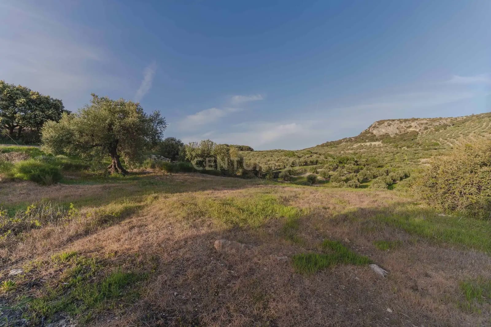 Finca/Casa Rural de 3 habitaciones en Illora en venta con piscina garaje - 220.000 € (Ref: 9802498)