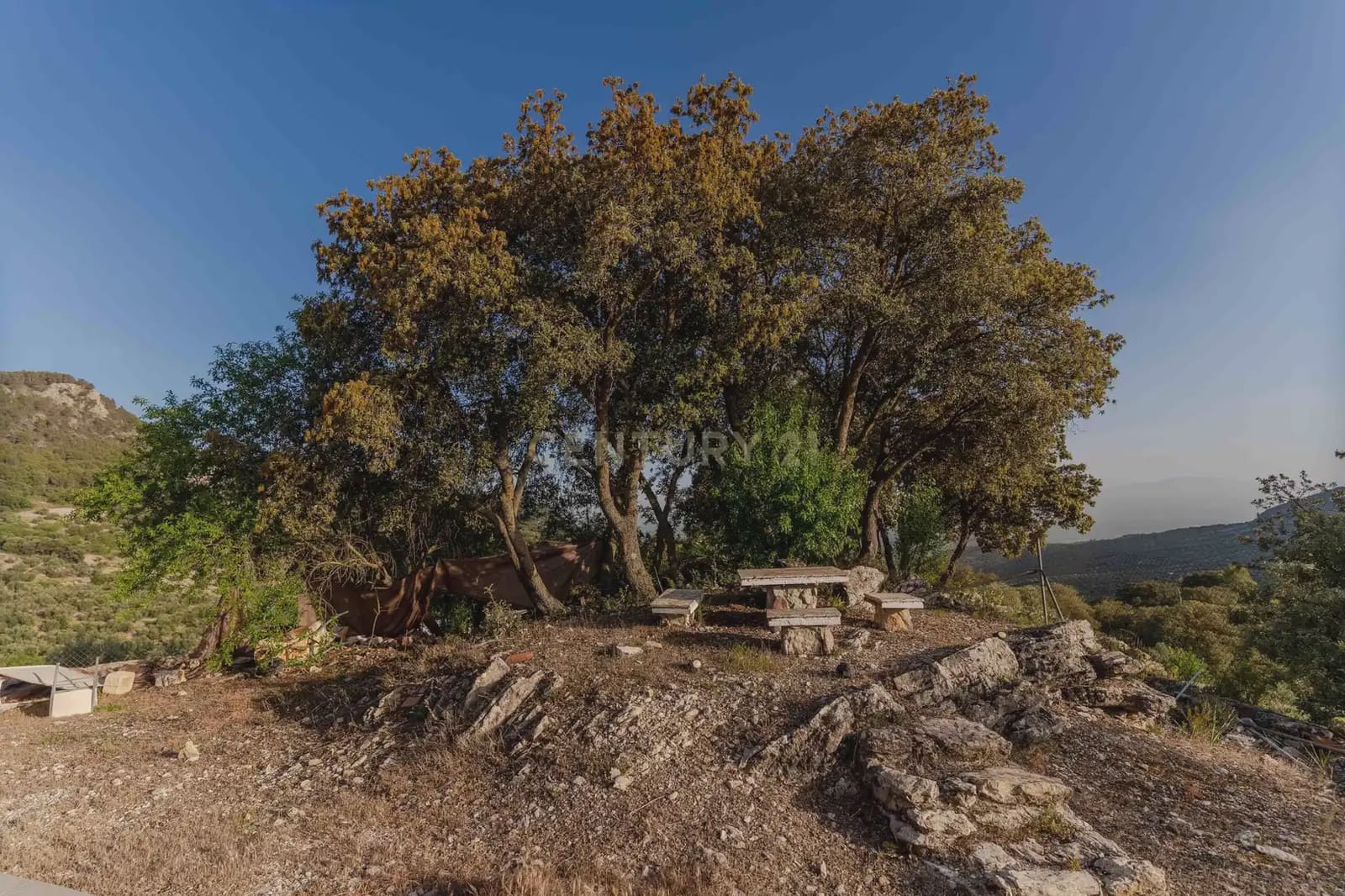 Finca/Casa Rural de 3 habitaciones en Illora en venta con piscina garaje - 220.000 € (Ref: 9802498)