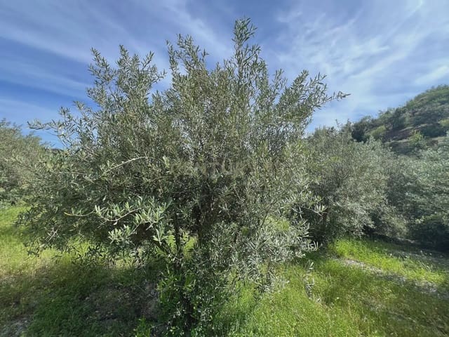 Grunde uden byggetilladelser til salg i Vélez de Benaudalla - € 45.000 (Ref: 9819235)