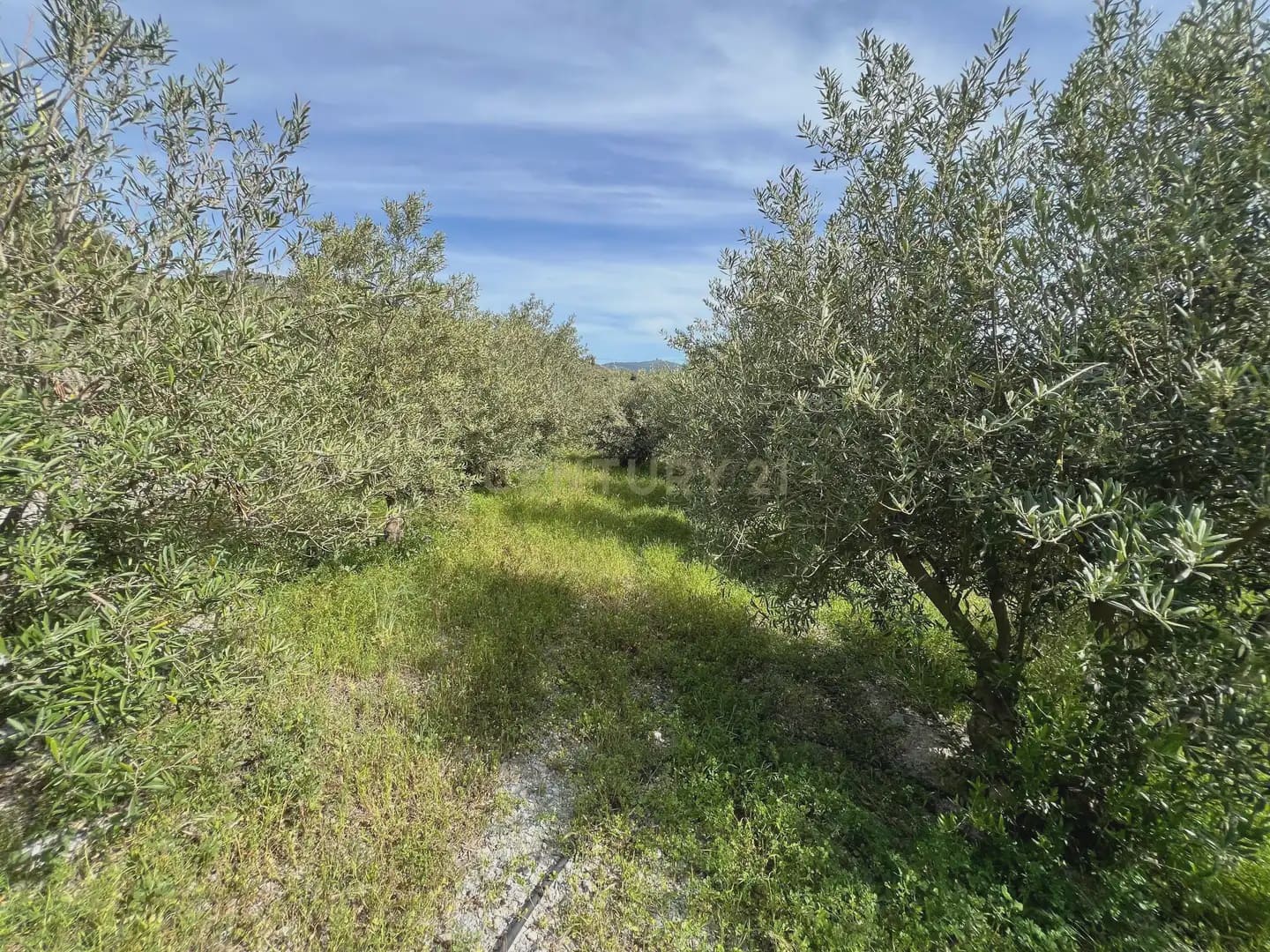 Grunde uden byggetilladelser til salg i Velez de Benaudalla - € 45.000 (Ref: 9819235)