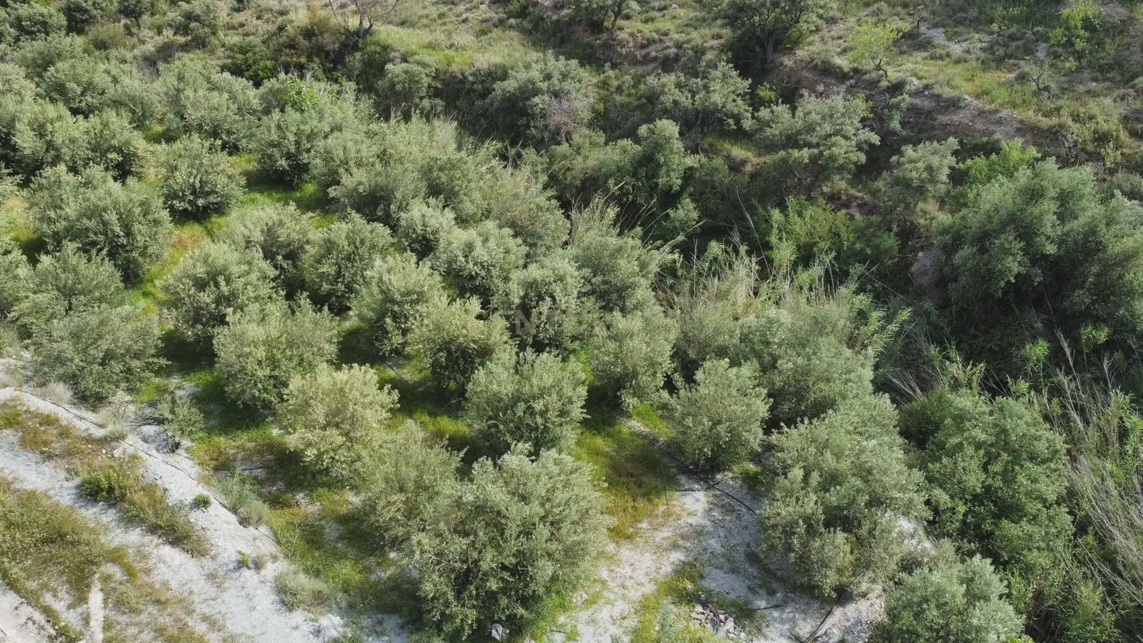 Grunde uden byggetilladelser til salg i Velez de Benaudalla - € 45.000 (Ref: 9819235)