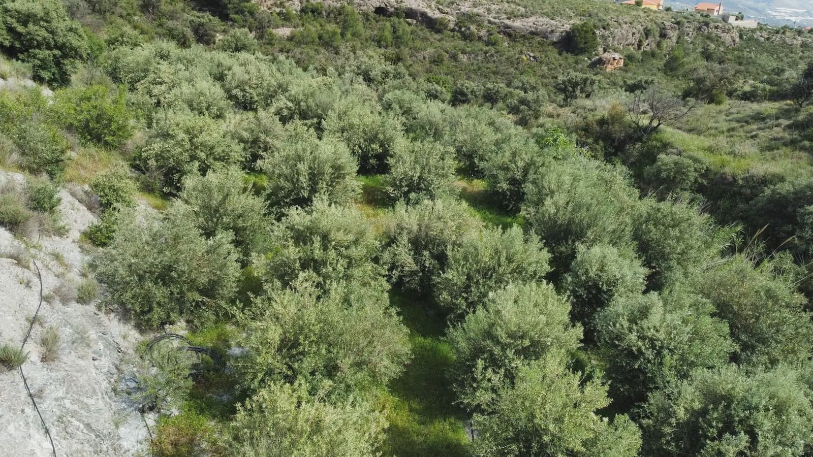 Grunde uden byggetilladelser til salg i Velez de Benaudalla - € 45.000 (Ref: 9819235)