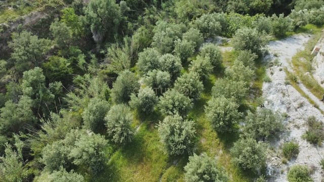 Grunde uden byggetilladelser til salg i Vélez de Benaudalla - € 45.000 (Ref: 9819235)
