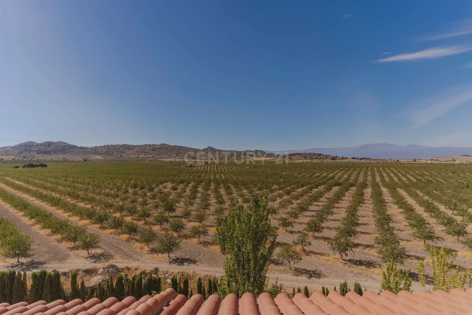 42 bedroom Hotel for sale in Gor - € 4,000,000 (Ref: 9843970)