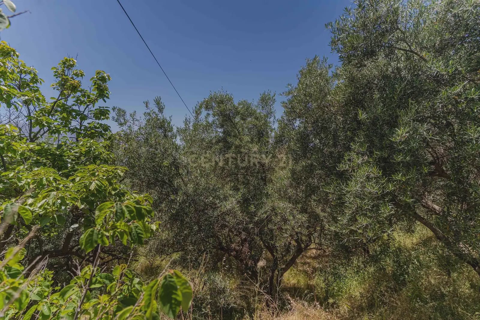 3 bedroom Finca/Country House for sale in Carataunas with pool garage - € 150,000 (Ref: 9889535)