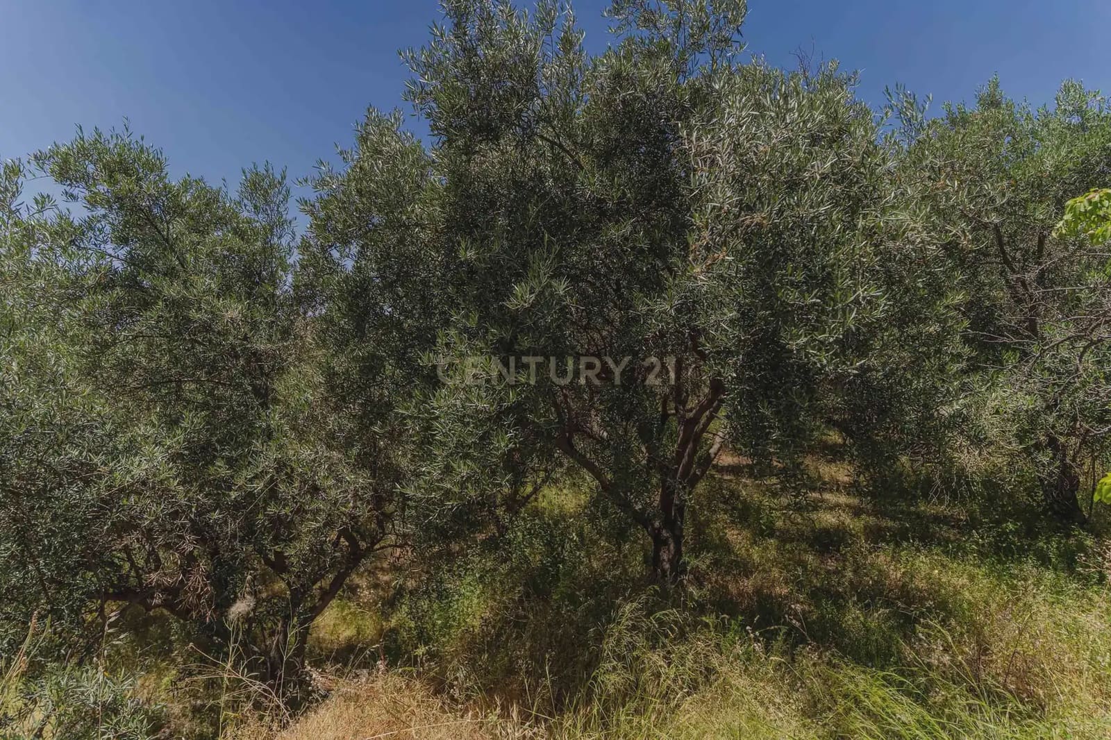 3 bedroom Finca/Country House for sale in Carataunas with pool garage - € 150,000 (Ref: 9889535)