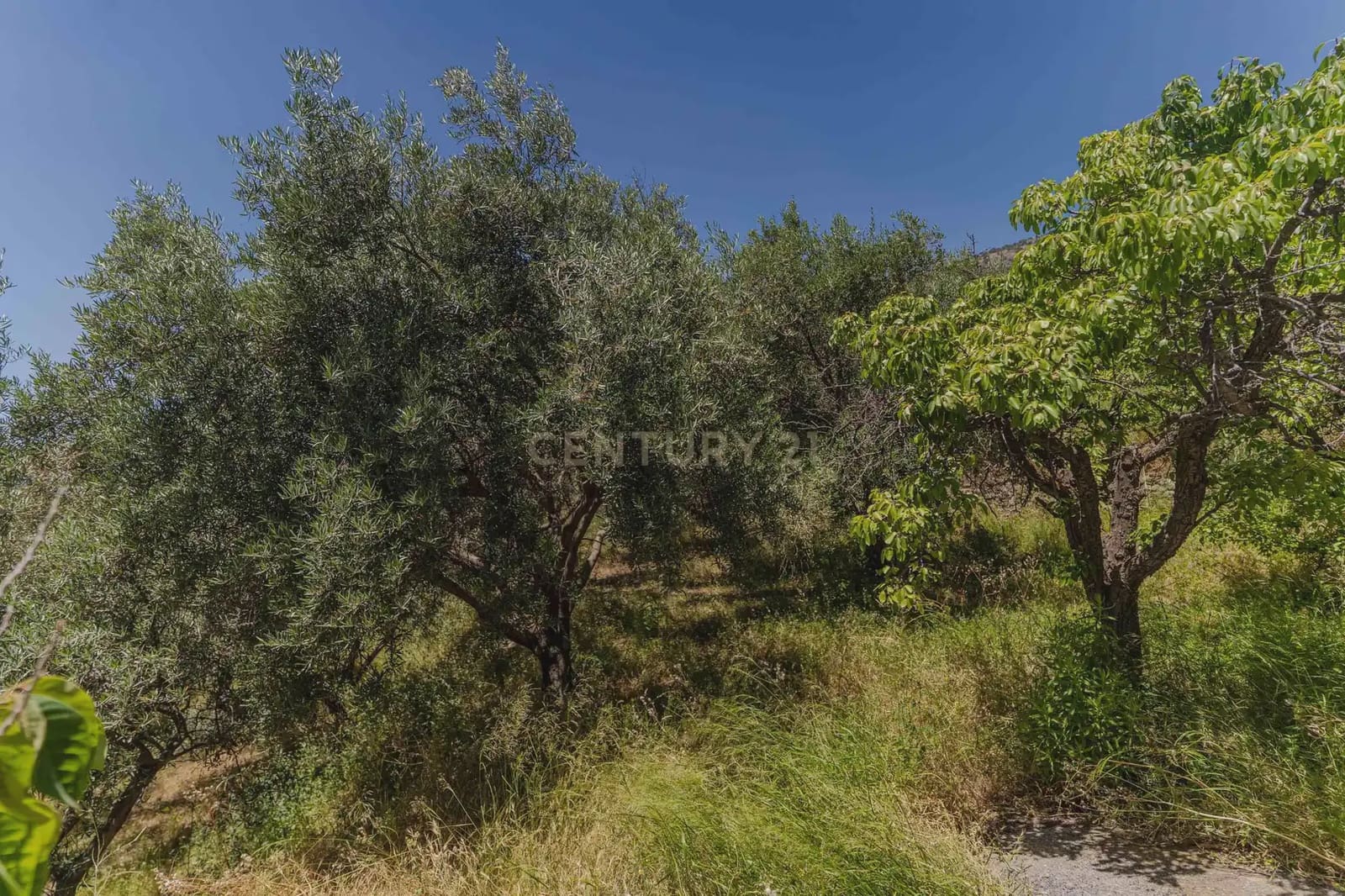 3 bedroom Finca/Country House for sale in Carataunas with pool garage - € 150,000 (Ref: 9889535)