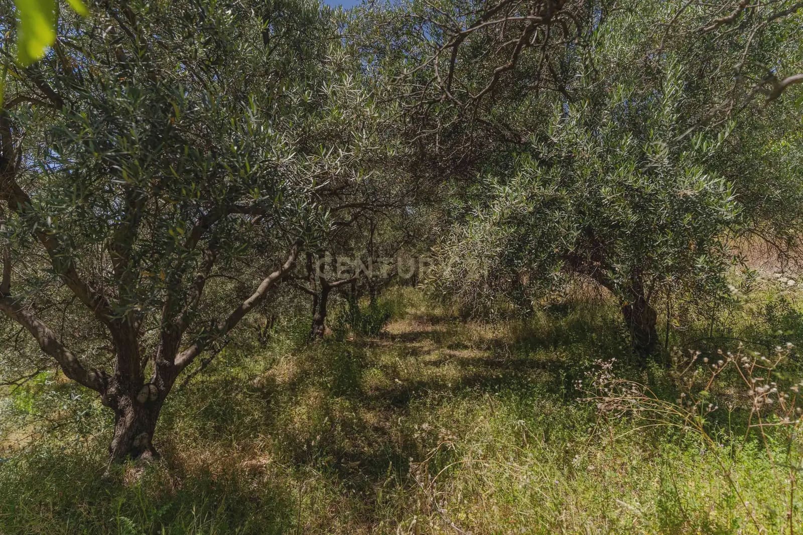 3 bedroom Finca/Country House for sale in Carataunas with pool garage - € 150,000 (Ref: 9889535)