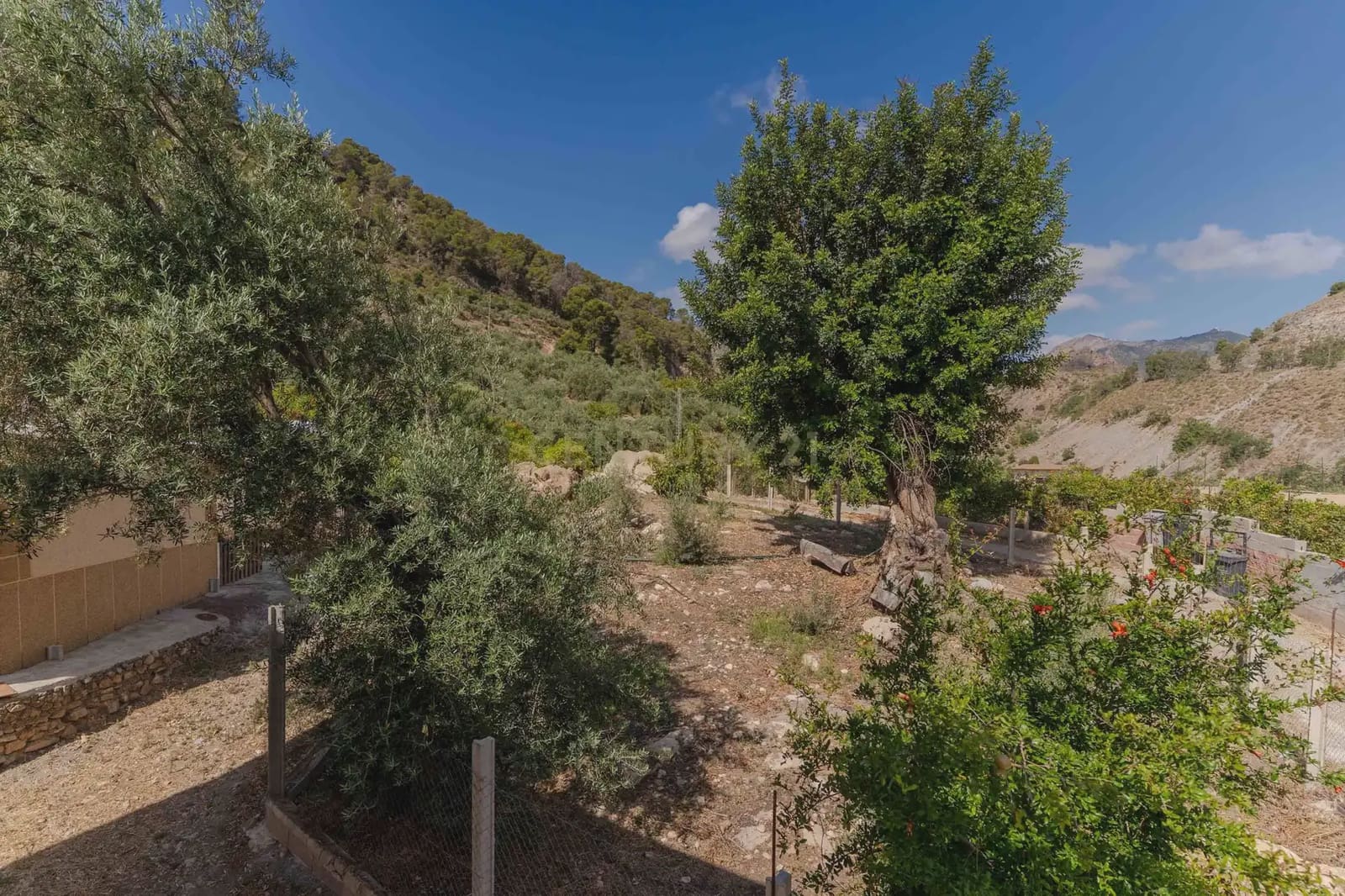 5 bedroom Finca/Country House for sale in El Pinar - € 85,000 (Ref: 9920937)