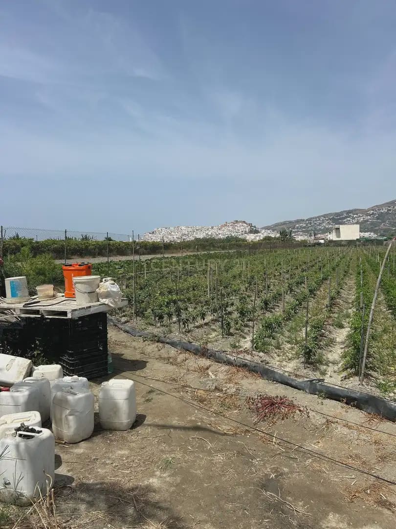 Mark till salu i Salobrena - 48 000 € (Ref: 9924946)