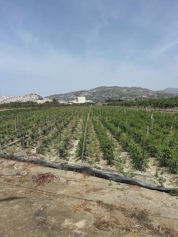 Mark till salu i Salobreña - 48 000 € (Ref: 9924946)