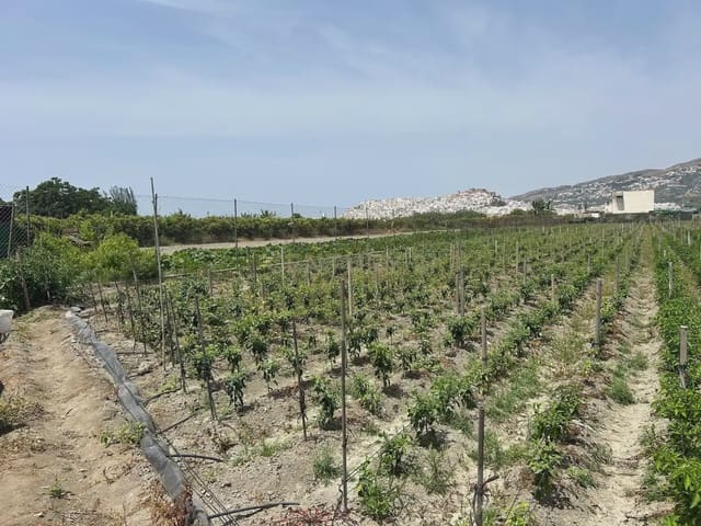Mark till salu i Salobreña - 48 000 € (Ref: 9924946)
