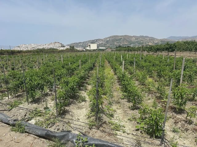 Mark till salu i Salobreña - 48 000 € (Ref: 9924946)