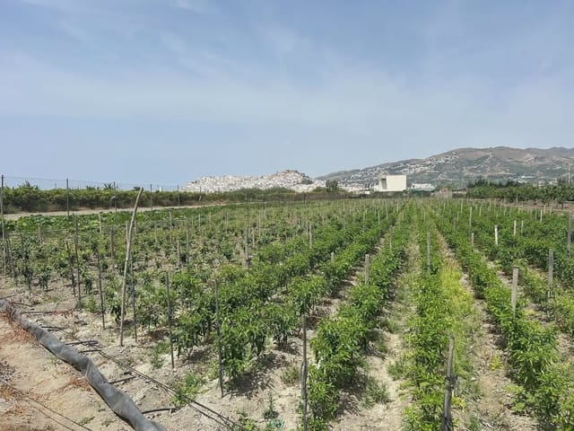 Mark till salu i Salobreña - 48 000 € (Ref: 9924946)