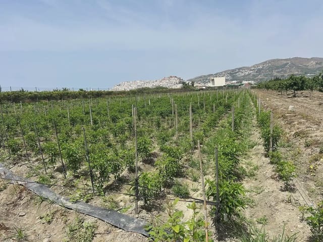 Mark till salu i Salobreña - 48 000 € (Ref: 9924946)