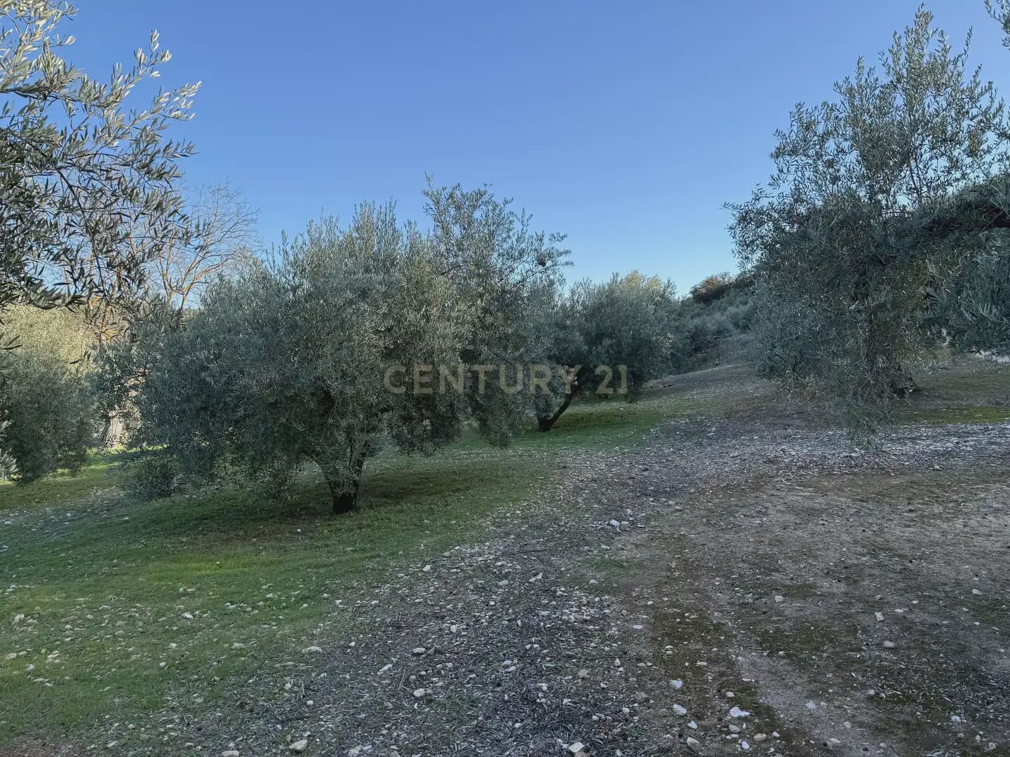 Landgrundstück zu verkaufen in Illora - 45.000 € (Ref: 9948510)