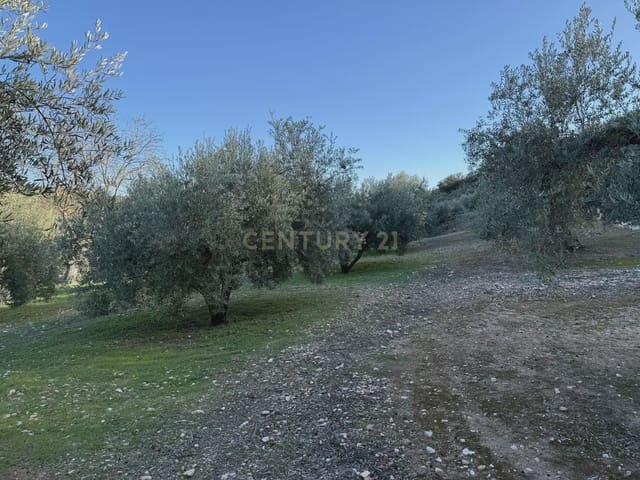 Landgrundstück zu verkaufen in Illora - 45.000 € (Ref: 9948510)