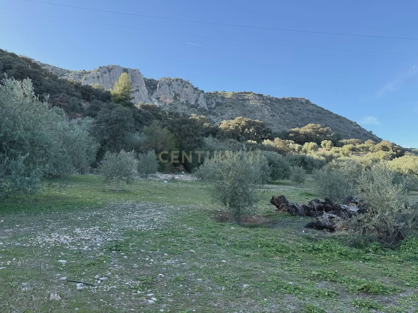 Landgrundstück zu verkaufen in Illora - 45.000 € (Ref: 9948510)